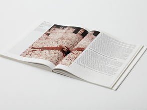 書籍設計 從內(nèi)容到視覺的藝術(shù)融合