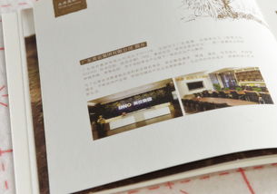 藝之光設(shè)計(jì) 以專業(yè)畫(huà)冊(cè)設(shè)計(jì)賦能食品企業(yè)品牌與招商