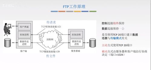 計(jì)算機(jī)網(wǎng)絡(luò)應(yīng)用層核心技術(shù) 從C/S到P2P，從DNS到HTTP